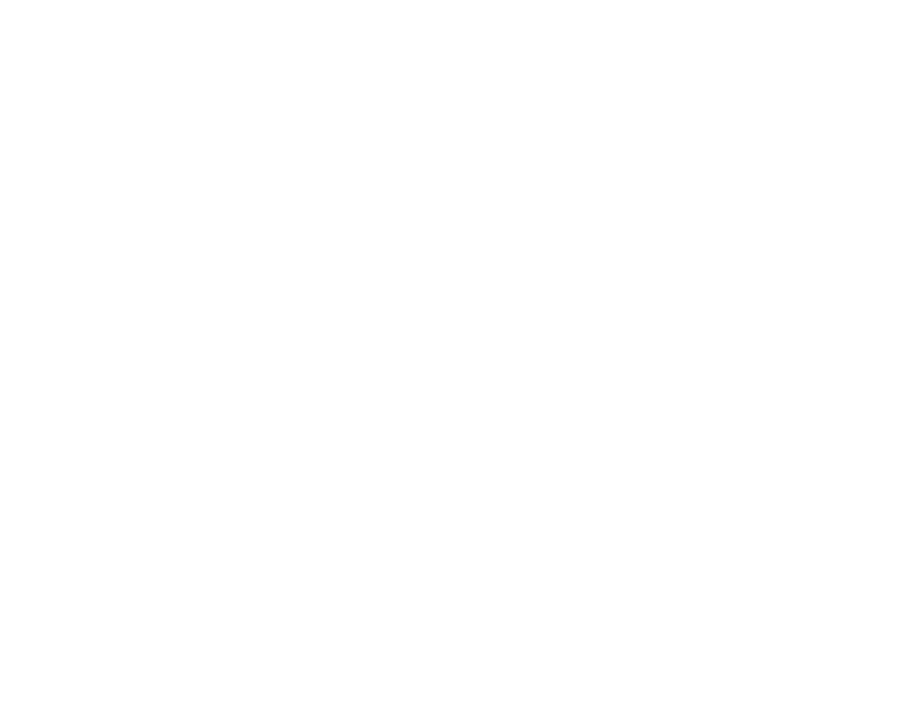 Flipkart Logo